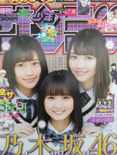 Item thumbnail for item 86ec909f-c07e-4df6-8467-5013c822e42d