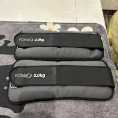 IGNIO アンクル・リストウエイト 2.0kgのサムネイル