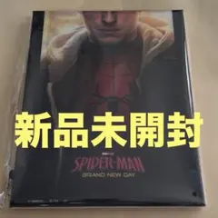 スパイダーマン ブランドニューデイ アートパネル
