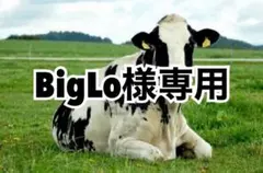 Item thumbnail for item 53c0bf44-f51f-4992-aa06-5f8bbee1c155