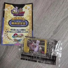 カ*歌様 3時間オク！最終値下げe-amusement pass「パワプロ 大谷 カ*歌様 3時間オク！最終値下げe-amusement pass「パワプロ 大谷