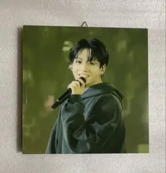 BTSジョングクパネル