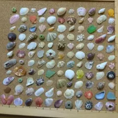 Item thumbnail for item 17f0d805-4913-47b0-9934-8bc42195acff