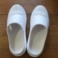 Item thumbnail for item e62cd914-601d-4b20-8399-29684803320b