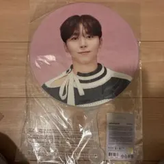 SEUNGKWAN carat land うちわ