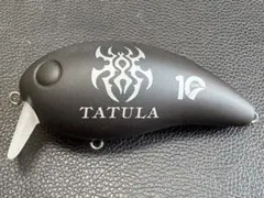 DAIWA メガピーナッツ TATULA 10周年記念モデル ×11 - メルカリ