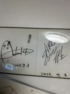 最終値下】blt 由良朱合 直筆サイン入 パネル 長文コメント入 ske48