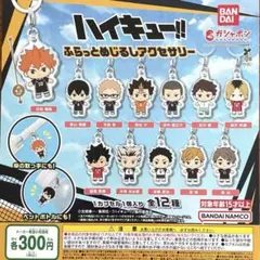 ハイキュー‼︎ ふらっとめじるしアクセサリー 全12種コンプリート