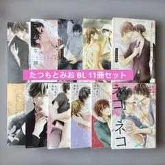 即購入不可　たつもとみお　ネコネコ　wedding   特典　冊子　リーフレット ネコ✕ネコ hopeful wedding たつもとみお - メルカリ