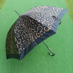 Item thumbnail for item c602553c-a256-40e6-a212-bf5a34a4c9f4