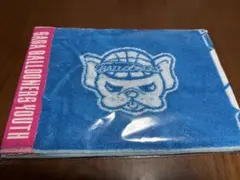 佐賀バルーナーズ　YOUTH タオルマフラーのサムネイル