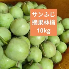 摘果りんご　加工用サンふじ林檎他　約10キロ 送料込み 78のサムネイル