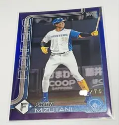 Item thumbnail for item 43f3b2fe-01dc-40ab-bbb3-f3152a6f4f14