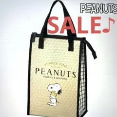 訳あり☆スケーター ドリンクマーカーボトル用 不織布バッグ (アルミ蒸着素材)