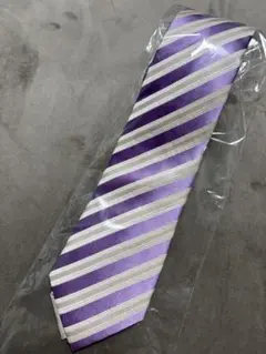 AOKI LES MUES レミュー ネクタイ パープル