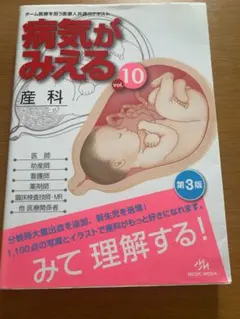 病気がみえる vol.10 (産科) - メルカリ