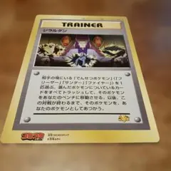 ポケモンカード ジラルダン スペシャルジャンボカード