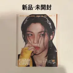 【新品未開封】Stray Kids フィリックス KARMA Accordion