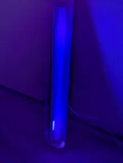 National ブラックライト 蛍光灯20W ひもスイッチ付