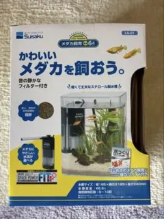 Item thumbnail for item 41e2c4d0-4fc3-4dab-bd17-362a296dec38