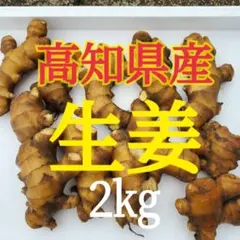 赤生姜 しょうが 種 1kg 高知県産 - メルカリ
