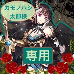 ⭐️【カモノハシ太郎様】　専用　リクエスト品