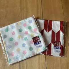 Item thumbnail for item 01ef6fd1-2817-451f-89a8-3256426167bd