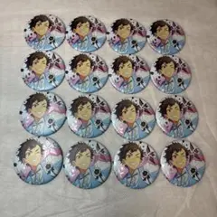 南雲鉄虎 缶バッジ 16個セット あんさんぶるスターズ! キャラバッジ あんスタ