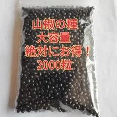 [대용량] 와카야마 포도 산초 종자 40g (약 2000알) 재배 및 식용