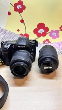 Nikon - Nikon ニコンD80 美品 Amazon | Nikon D80 10.2MP Digital SLR Camera Kit with 18