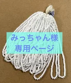 みっちゃん様専用ページ