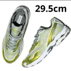 WAVE RIDER 10 ONE BLOCK DOWN 29.5cm