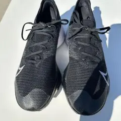 NIKE 実使用　スパイク　野球　中日ドラゴンズ　NPB ナイキ　プロ　選手 NIKE 実使用 スパイク 野球 中日ドラゴンズ NPB ナイキ プロ 選手