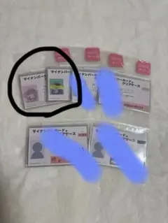 まりのん様　サンリオ　マイナンバーカードケース 顔隠し