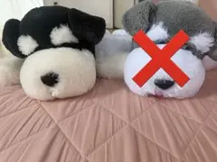 くったりシュナウザー寝そべり　BIGぬいぐるみ ブラックのサムネイル