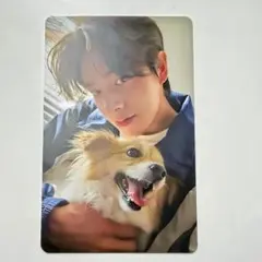 ENHYPEN ジェイク　アンケートトレカ