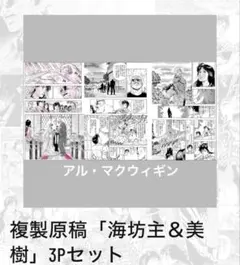 時空の絵旅人 シーラン グッズセット - メルカリ