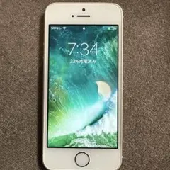 iPhone5s Gold 16GB Softbank 本体のみ 動作確認済