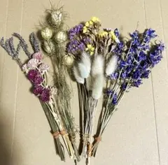 ドライフラワーのセット