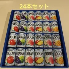 KAGOME CAN フルーツジュースギフトセット 24缶のサムネイル