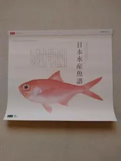 2026年最新】魚譜の人気アイテム - メルカリ