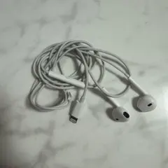 iPhone イヤホン　純正 ライトニング Apple 有線