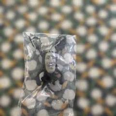 未開封☆こびとづかん　おすわりマスコット2 アラシクロバネ　ガチャガチャ