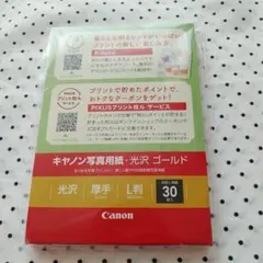 Item thumbnail for item 53a37bf1-880d-4e2d-8ffc-803b173b319a