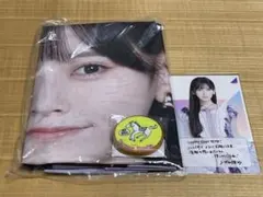 池田瑛紗 乃木坂46福袋A のぼり クリアファイル 缶バッジキーホルダー