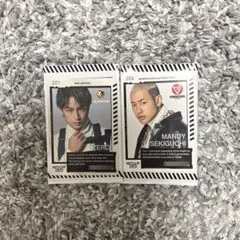 BOT 白濱亜嵐 関口メンディー フォトカード セット