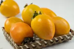 愛媛県産！愛宕柿約10Kg渋柿不揃【干し柿用】