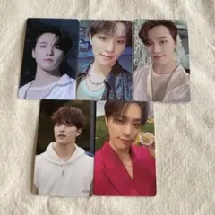 SEVENTEEN セブチ sector17 ディノ トレカ Weverse