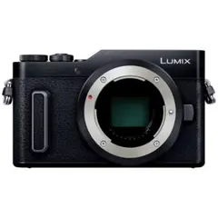 2026年最新】panasonic lumix dc-gf10の人気アイテム - メルカリ