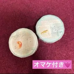 Item thumbnail for item 04519a4b-121f-4804-b40c-d26f92b457b8